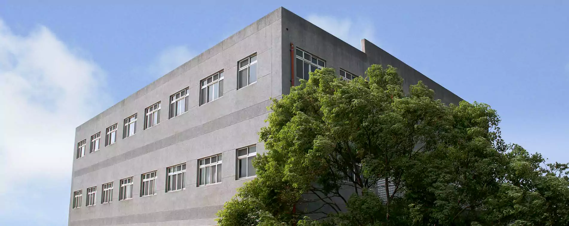 Minca - YUARN BAAU TAIH Enterprise Co., Ltd.