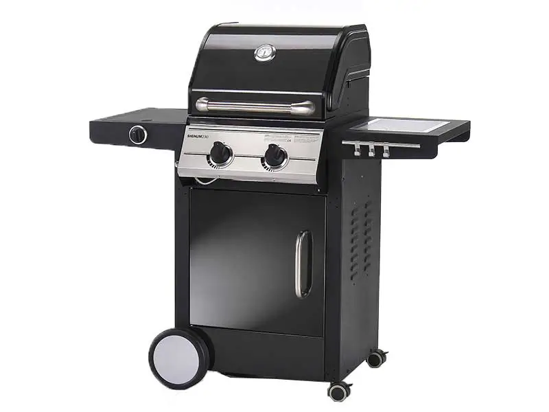 Outdoor Gas Grill with Side Burner