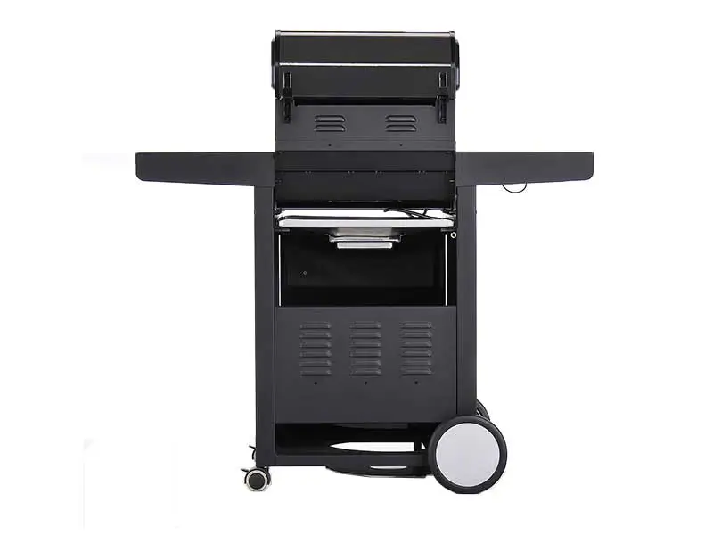 gas-grill-and-charcoal-grill_gas-grill-02