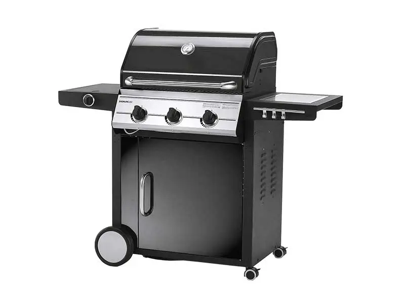 gas-grill-and-charcoal-grill_gas-grill-05